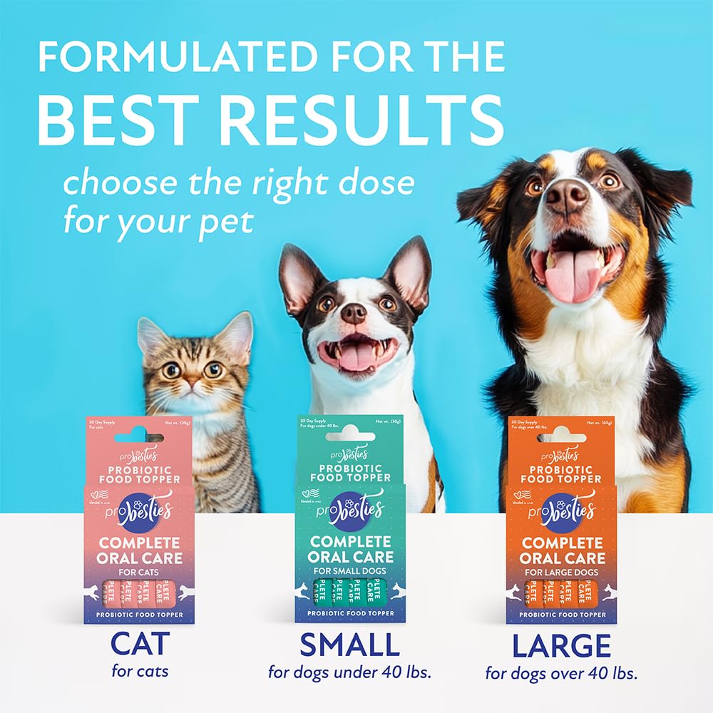 Probiotic Food Topper for Cat Oral Care B18598