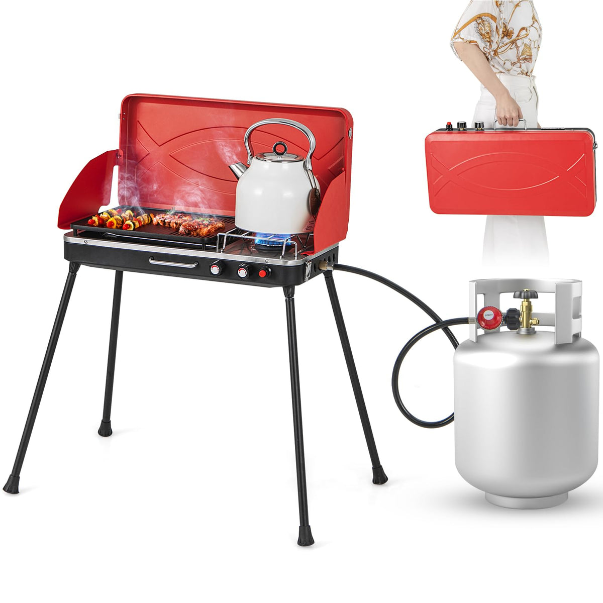 2-Burner Portable Propane Gas Grill with Removable Legs J896