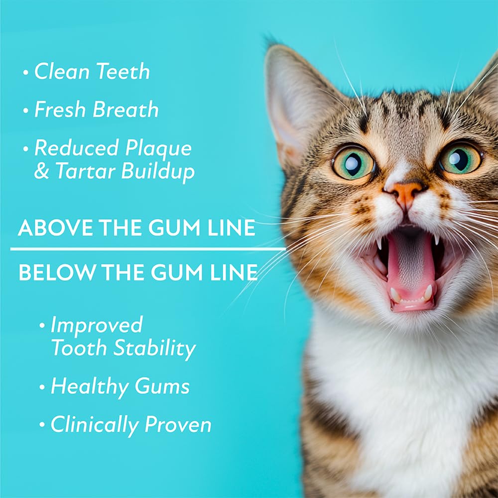 Probiotic Food Topper for Cat Oral Care B18598
