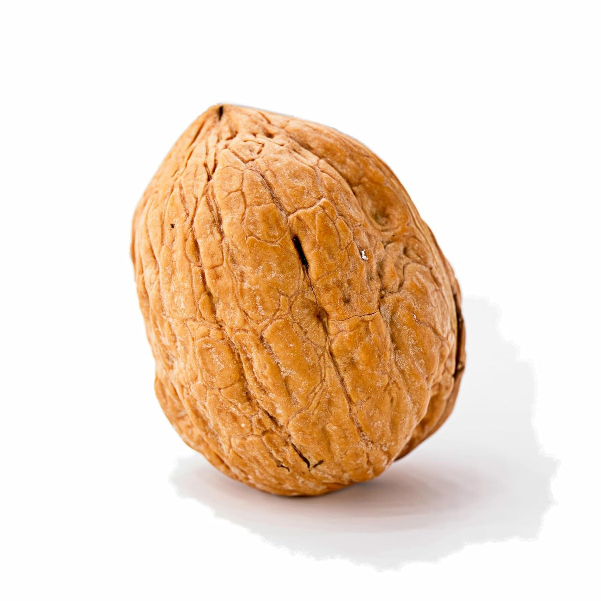 California Grown Whole Walnuts In Shell, 25lb K883130