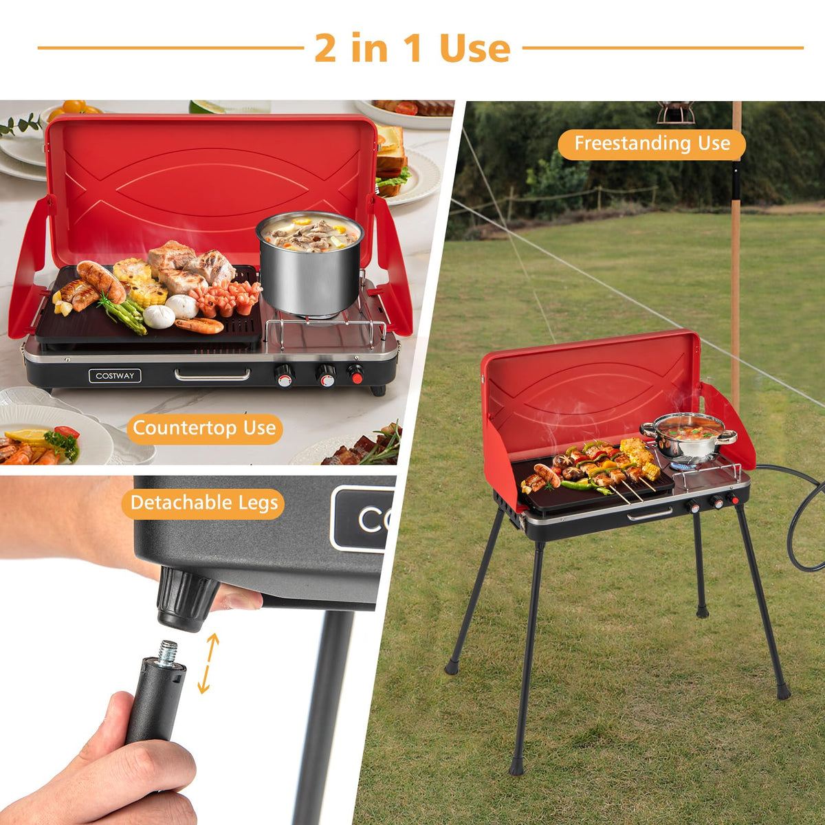 2-Burner Portable Propane Gas Grill with Removable Legs J896