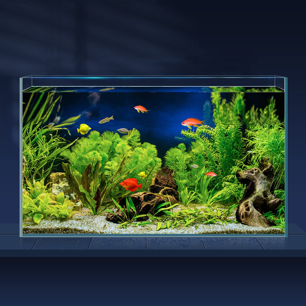 10 Gallon Ultra Clear Rimless Low Iron Glass Fish Tank A9639